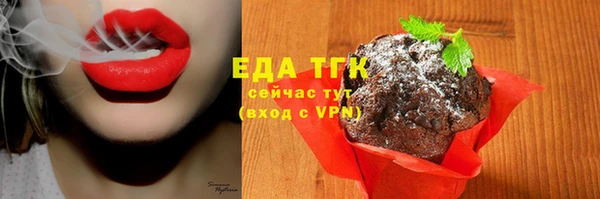 хмурый Медногорск