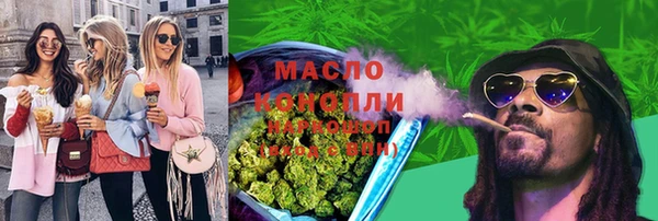 твердый Магас