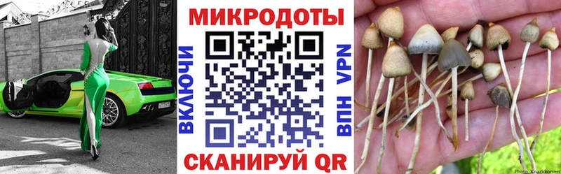 Галлюциногенные грибы Magic Shrooms  Купить закладки  Верхоянск 